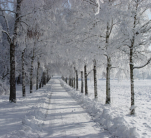 Winterdienstplan für die Puchheimer Radwege